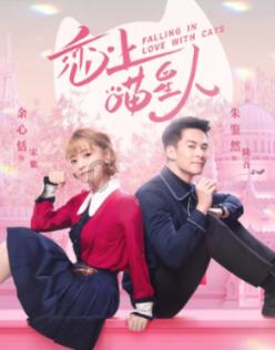 奔跑的兔子